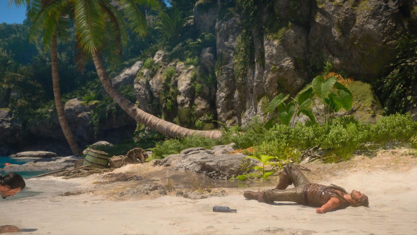 Assassin’s Creed Black Flag Resynced